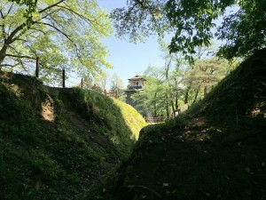 沼田城の西櫓脇の堀